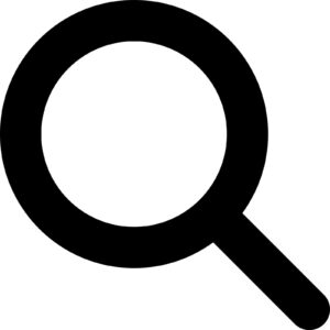Diseño Web para PYMES 8 magnifying glass solid